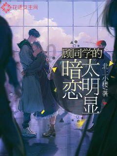 “成都新十二月市―美丽工坊•幸福集市“主题助残活动第五季在春熙路举办